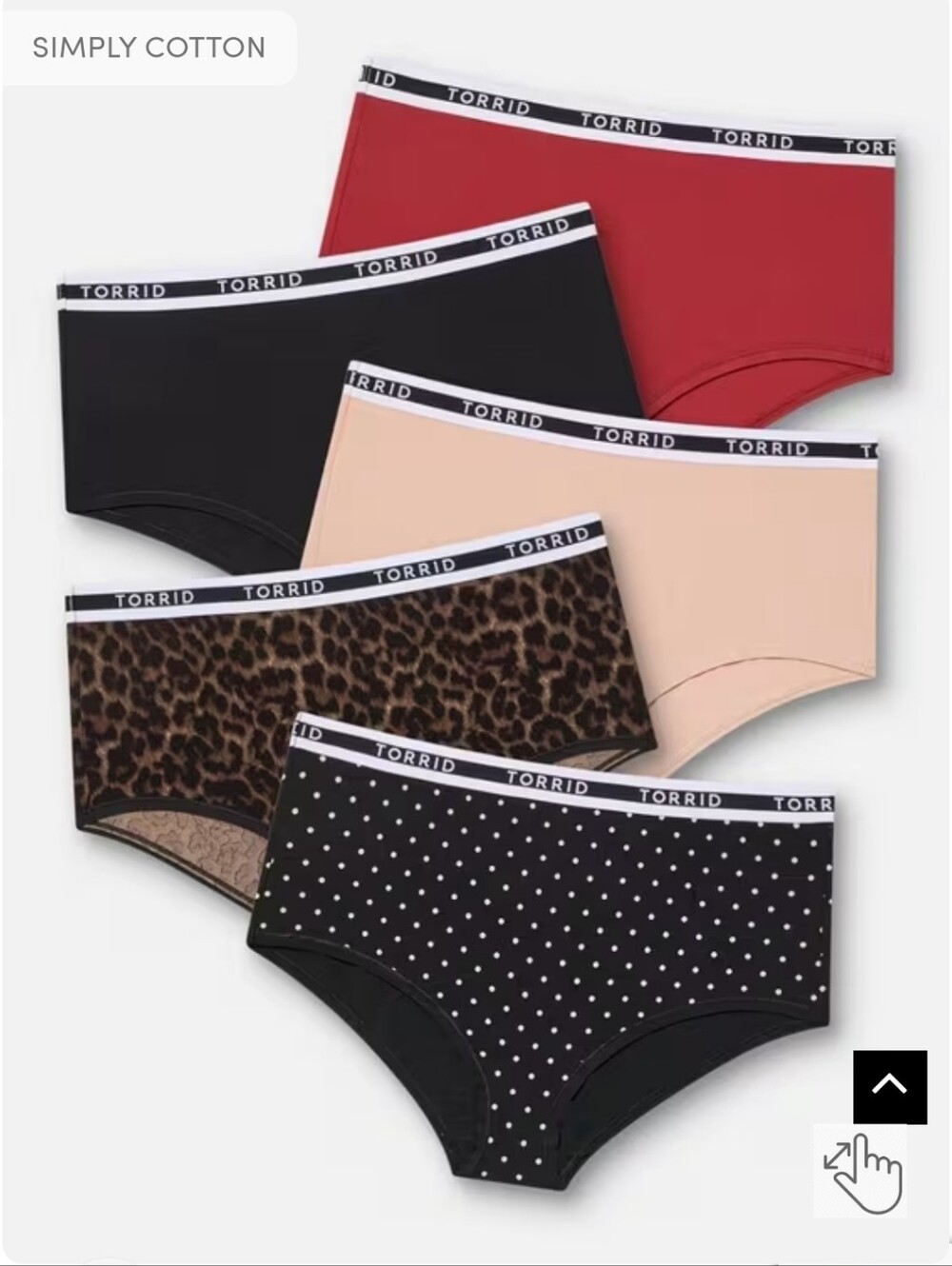 🆕️TORRID 4X 5-Pack Cotton Mid-Rise Logo Brief Panty